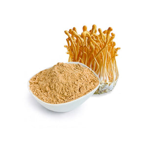 HERBATY ORGANIC CORDYCEPS MUSHROOM POWDER