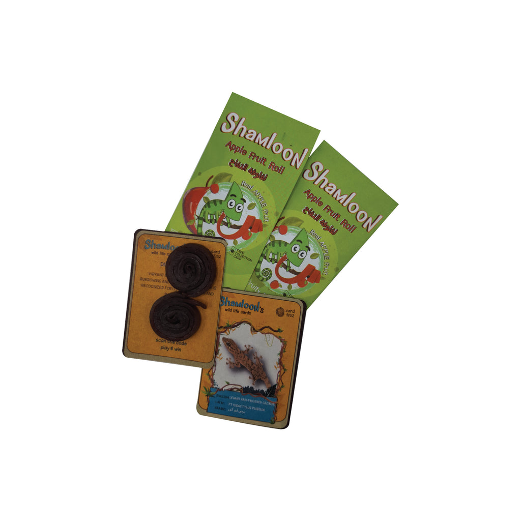 ESHMOON SHAMLOON APPLE FRUIT ROLL UP