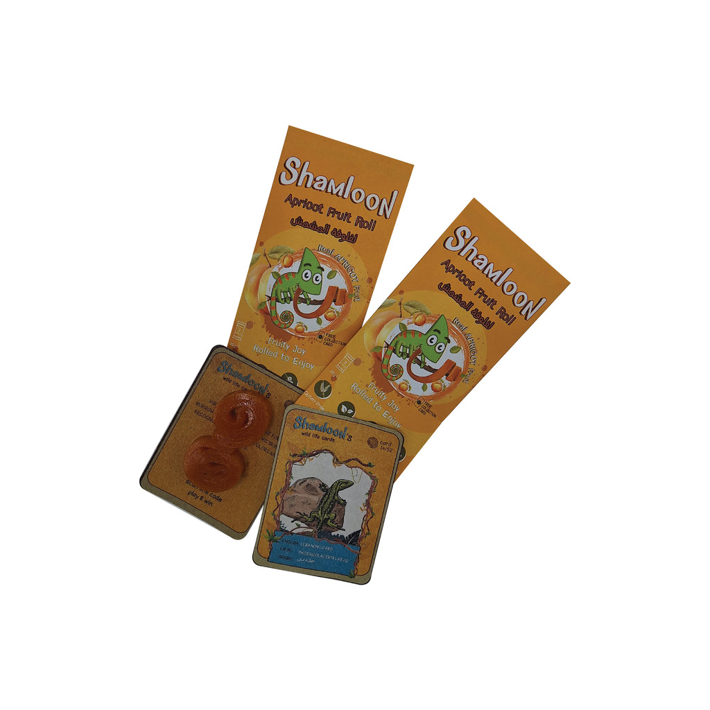 ESHMOON SHAMLOON APRICOT FRUIT ROLL UP