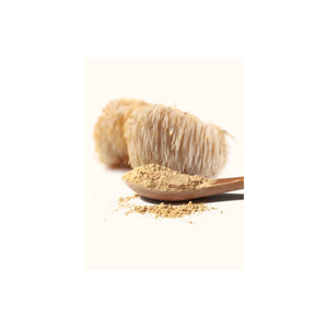 HERBATY MUSHROOM POWDER - LION'S MANE