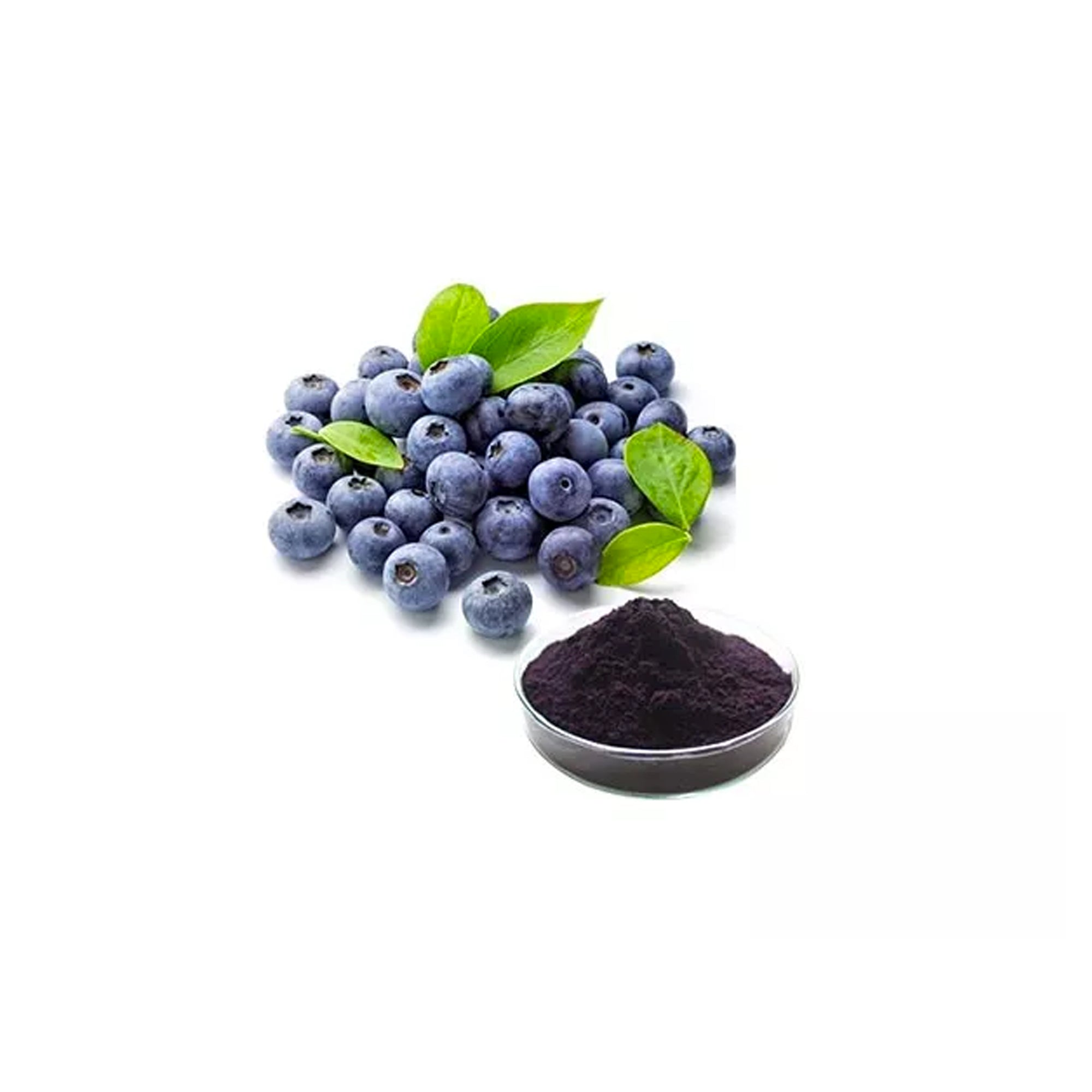 HERBATY ORGANIC BILBERRY POWDER