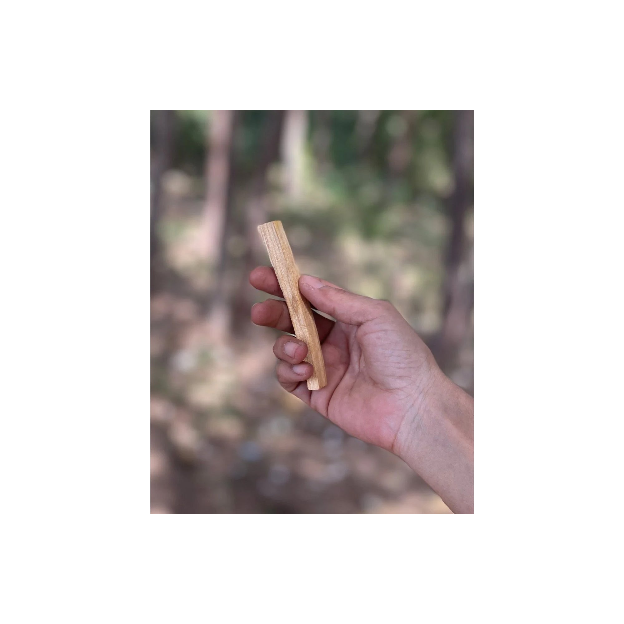 SACRED PALO SANTO