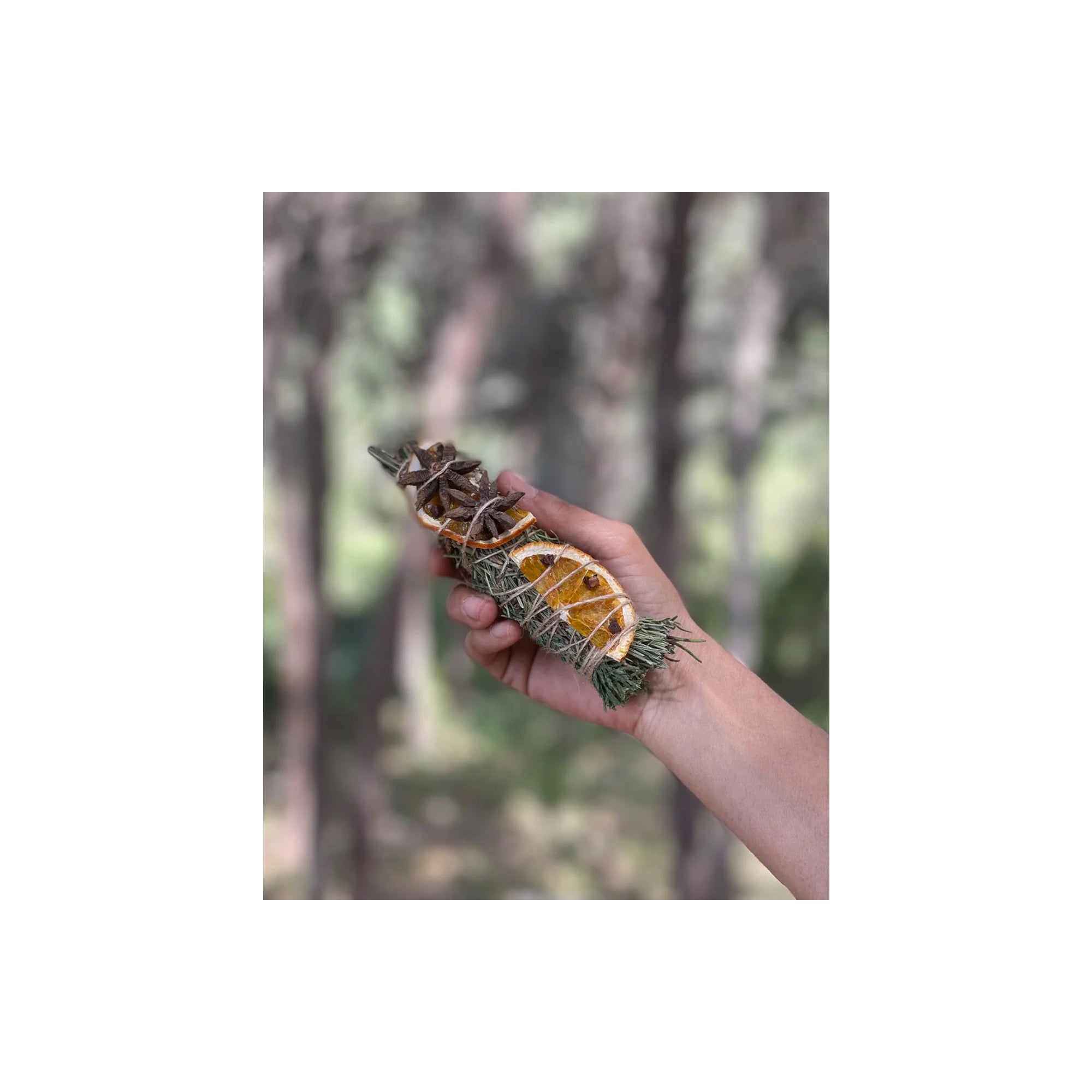 SACRED SMUDGING - STAR ANISE