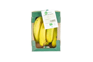 Biomass Organic Fresh Bananas