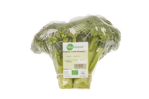 Biomass Organic Fresh Broccoli