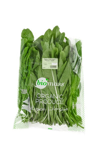 Biomass Organic Fresh Chicory Dandelion