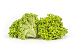 Biomass Organic Fresh Lollo Biondo Lettuce