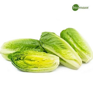 Biomass Organic Fresh Green Baby Lettuce