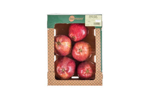 Biomass Organic Fresh Starking Red Apple