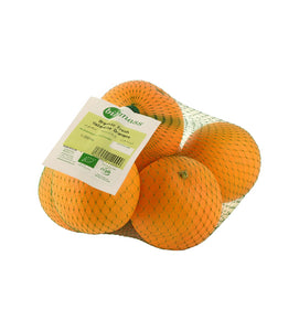 Biomass Organic Fresh Valenia Oranges